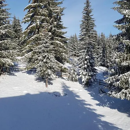 Сasa de vacaciones Planinski Raj Jahorina